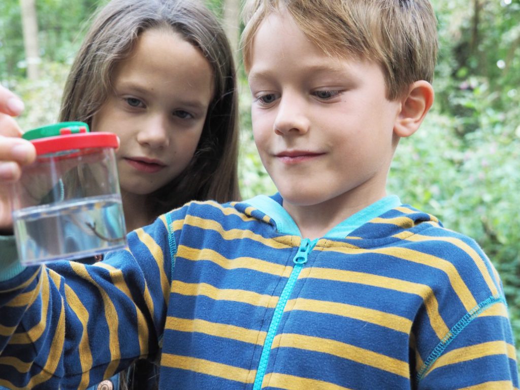 Eine Libellenlarve wird genau unter die Lupe genommen