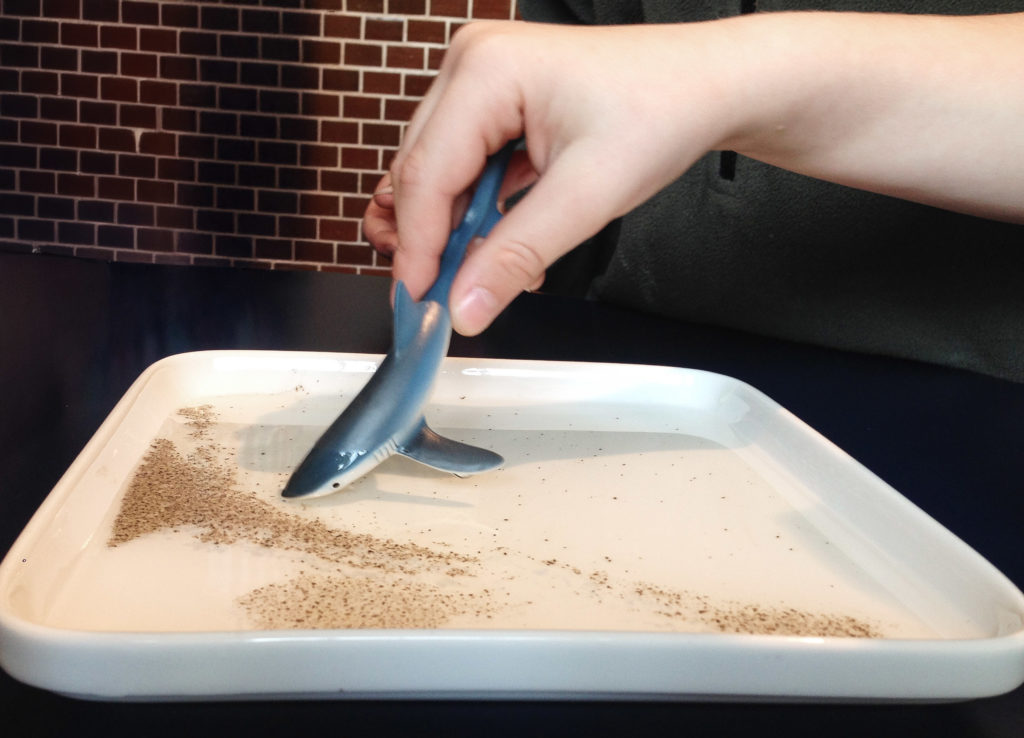 Der Hai "vertreibt" die Pfefferkörner